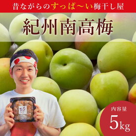【ふるさと納税】【2026年分先行予約】紀州南高梅（青梅）5kg | うめ ウメ 南高梅 梅干し用 梅酒用 和歌山県 梅シロップ 梅ジャム