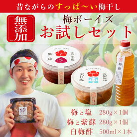 【ふるさと納税】【最大3ヶ月待ち】【無添加梅干し】天日塩だけで漬けた梅干し、塩と紫蘇だけで漬けた梅干し、白梅酢 お試しセット / 南高梅 / 梅ボーイズ