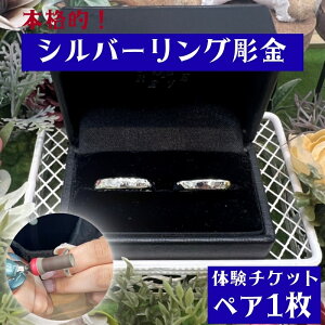 yӂ邳Ɣ[Łz {iIIVo[O@̌yA`Pbg / ݂Ȃג ANZT[ O Vo[ Vo[O w ANZT[ w֍  n IWi s 