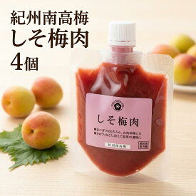 【ふるさと納税】 梅一番井口　紀州南高梅　しそ梅肉　4個セット | 紀州 紀州南高梅 和歌山 梅 うめ ウメ 梅肉 チューブ しそ しそ梅肉