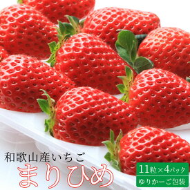 【ふるさと納税】いちご (まりひめ) ゆりかーご包装 11粒×4パック / 苺 イチゴ 甘い あまい 朝摘み 朝採れ 新鮮 果物 フルーツ 旬 和歌山県オリジナル品種