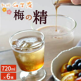 【ふるさと納税】梅の精 | 梅 うめ ウメ 梅ジュース 南高梅 濃縮タイプ 保存料無添加 香料無添加 水割り ソーダ割 ジュース シロップ 清涼飲料水