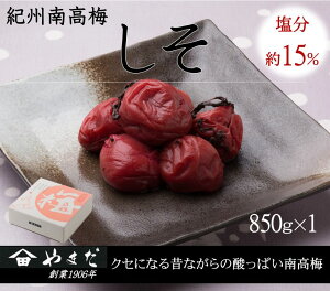 yӂ邳Ɣ[ŁzIB썂~ i15%j 850g | ~ 썂~ ~  h Ђ