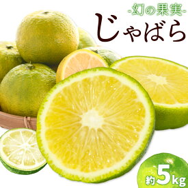 【ふるさと納税】じゃばら 約5kg どの坂果樹園《2025年10月下旬-2月上旬頃出荷》和歌山県 日高川町 柑橘類 旬 フルーツ 果物 柑橘 風味付け ドリンク マーマレード 送料無料