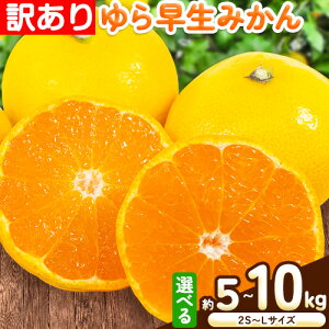 yӂ邳Ɣ[Łz󂠂   ݂ Iׂ e  5kg (2S`LTCY)  10kg (2S`LTCY) ǂ̍ʎs10{-12{oח\t a̎R 쒬 ݂ 瑁 󂠂 {