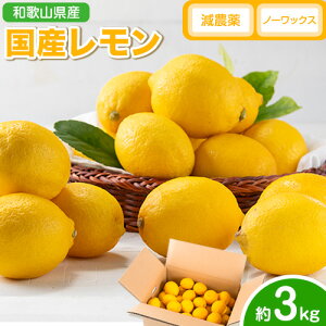 yӂ邳Ɣ[Łzys\z Y  Iׂe 2kg 3kg 5kg (L`4LTCY) m[bNX _ ǂ̍ʎs2026N2{-5oׁt a̎R 쒬  