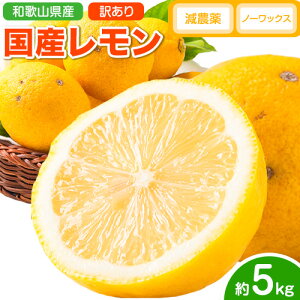 yӂ邳Ɣ[Łzys\z 󂠂 Y  5kg (TCY) m[bNX _ ǂ̍ʎs2026N2{-5oׁt a̎R 쒬   EG ƒ