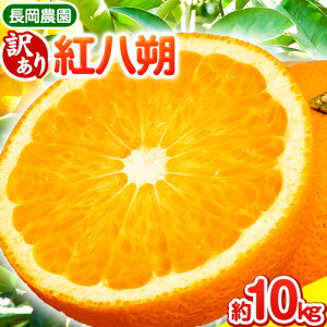 yӂ邳Ɣ[Łzy󂠂zg 10kg _s3{-5{oׁt a̎R 쒬 g  ͂