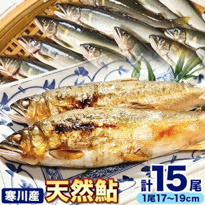 yӂ邳Ɣ[Łz VR   ֎R_㗬(Y) 17cm-19cm 5×3pbN v15 싙tȂׁs7{-11{oׁt a̎R 쒬   VR 