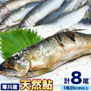 yӂ邳Ɣ[Łz VR   ֎R_㗬(Y) 20cmȏ 4×2pbN v8 싙tȂׁs8{-11{oׁt a̎R 쒬   VR 