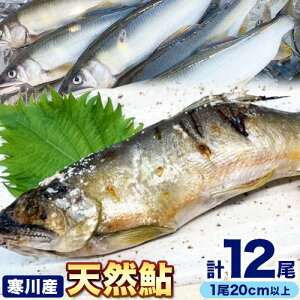 yӂ邳Ɣ[Łz VR  ֎R_㗬(Y) 20cmȏ 4×3pbN v12 싙tȂׁs8{-11{oׁt a̎R 쒬   VR 
