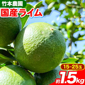 yӂ邳Ɣ[Łzys\zC Y C 1.5kg ( 15`25 )s2025N9{-12{oׁt|{_ a̎R 쒬 Yn { VN ʕ k 炢 t[c Y 