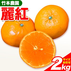 yӂ邳Ɣ[Łzg (ꂢ) 2kg TCY ܂s2026N2{-4{oׁt|{_ a̎R 쒬 { VN ʕ k t[c Y   TCY 2000g ݂