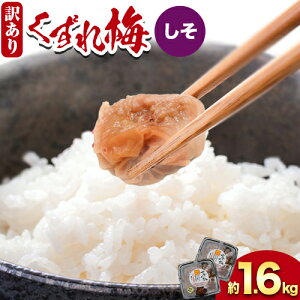 �y�ӂ邳�Ɣ[�Łz�󂠂� �I�B�썂�~ ������~ �I�ׂ� �͂��݂� ������ �������� 1.6kg �_�ѐ��Y��b�܎�܁s30���ȓ��ɏo�ח\��(�y���j����)�t�E�F�u�Z���[�^�N�e�B�N�X �a�̎R�� �����쒬