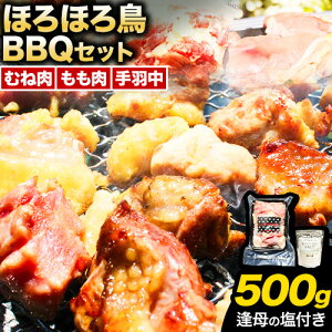 yӂ邳Ɣ[Łzzz  o[xL[ Zbg 500g ̉ 100gs90ȓoח\(yj)ta̎R 쒬 قق뒹 BBQ ނ˓  H { { { { EF