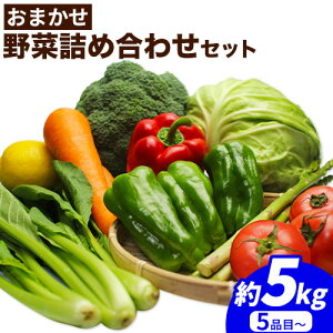 yӂ邳Ɣ[ŁzlĜy݁܂  lߍ Zbg ( 󂠂 i ) 5i~ 5kg JAIBYX ₩(쒬)s30ȓɏoח\(yj)t a̎R 쒬 