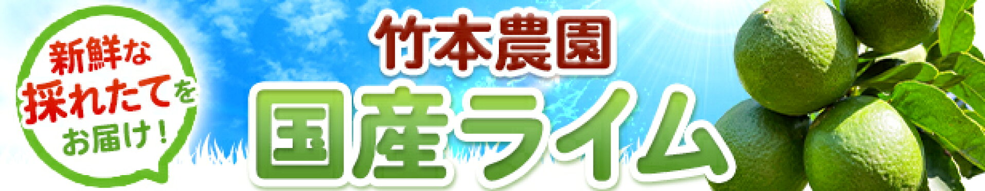 国産ライム