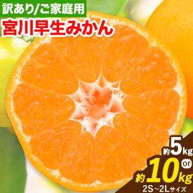 【ふるさと納税】訳あり 宮川 早生みかん 選べる容量 約 5kg 10kg (2S〜2Lサイズ) 笑いの里のTommyファーム《11月下旬-2026年1月上旬頃出荷》和歌山県 日高川町 みかん 早生 ご家庭用 旬 柑橘 フルーツ 果物 ミカン 柑 家庭用 産地直送 箱入り わけあり