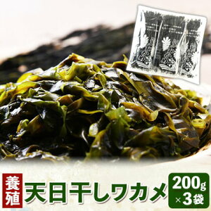 yӂ邳Ɣ[ŁzVJ({B)  600g  200g ×3 Ђ͂ s30ȓɏoח\(yj)t a̎R 쒬 킩 J C X`