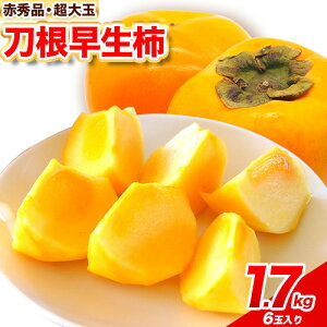 yӂ邳Ɣ[ŁzԏGi  `  1.7kg 6 I_lЁs2026N9`10oׁt a̎R 쒬 ʕ t[c `  ` {