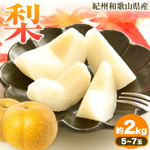 yӂ邳Ɣ[ŁzIBa̎RY̗ 2kg 5`7 ϔ ߏXs2026N8{-9{oׁta̎R 쒬 a̎RY  Ȃ iV 蕨 Mtg