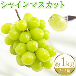 yӂ邳Ɣ[ŁzIBa̎RY VC}XJbg Iׂ  1kg  2kg ߏXs2026N8{-9{oׁt}XJbg a̎R 쒬 蕨 Mtg Ԃǂ VC}XJbg