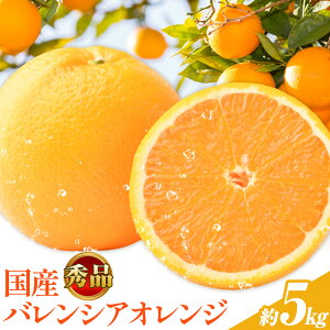 yӂ邳Ɣ[ŁzyGizs\񁦊󏭂ȍYoVAIW Iׂ 2.5kg 5kg  ߏXs2026N6{`7{oׁta̎R 쒬 IW k t[c ʕ