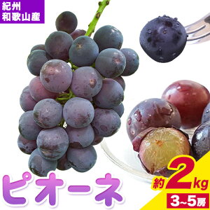 yӂ邳Ɣ[ŁzIBa̎RY sI[l 2kg 3[-5[ ߏX s2026N8{-9{oׁt a̎R 쒬 t[c Ԃǂ  2kg a̎RY 