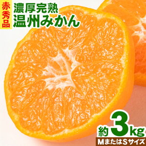 �y�ӂ邳�Ɣ[�Łz�y��s�\��z�ԏG�i �I�B�L�c�Y �Z�����n���B�݂��� �I�ׂ���e�� 2kg 3kg (M�T�C�Y�܂���S�T�C�Y) ���ߏ��X�s2026�N11�����{-2027�N1�����{���o�ׁt�a�̎R�� �����쒬 �݂��� 