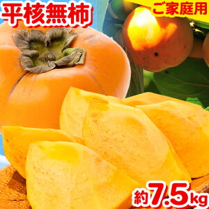 yӂ邳Ɣ[Łzƒp a̎RH̖oj`(Ђ炽˂Ȃ)7.5kg ЋߏXs10{-11{oׁt a̎R 쒬 ` JL  ˂Ȃ W[V[ t[c
