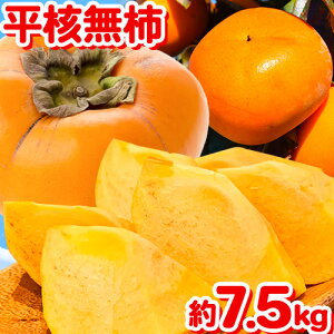 yӂ邳Ɣ[Łza̎RH̖o j`(Ђ炽˂Ȃ)7.5kg ЋߏXs2025N10{-11{oׁt a̎R 쒬 ` JL  ˂Ȃ W[V[ t[c