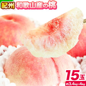 yӂ邳Ɣ[Łzy2026Ns\z  IB a̎RY   15 (  3.4kg ~ 4kg ) ߏXs2026N6{-8{oׁt a̎R 쒬 t[c ϔ Mtg  킩 