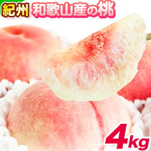 yӂ邳Ɣ[Łzy2026Ns\z  IB a̎RY   Iׂ 1.8kg 4kg ϔ ߏXs2026N6{-8{oׁt a̎R 쒬 蕨 Mtg