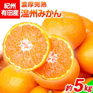 �y�ӂ邳�Ɣ[�Łz�y��s�\��z�I�B�L�c�Y �Z�����n���B�݂��� ��5kg ���ߏ��X�s2026�N11�����{-2027�N1�����{���o�ׁt �a�̎R�� �����쒬 �݂��� ���B�݂��� ���n �Z�� ���k