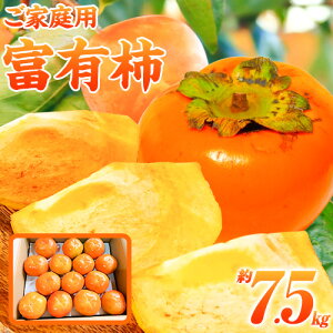 yӂ邳Ɣ[Łzs\񁄁yƒp킯z a̎R H̖o xL` 7.5kg Ћ߁s2025N11{-12{oׁta̎R 쒬 ` xL` t[c