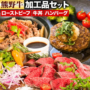 yӂ邳Ɣ[Łz F싍 Hi oGeB Zbg ~j [Xgr[t no[O ̋  970g Meat Factorys30ȓɏoח\(yj)ta̎R 쒬 F싍 