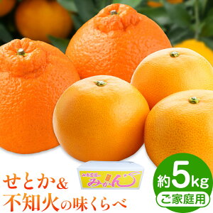 yӂ邳Ɣ[ŁzƂ & sm   5kg ƒp R{_s3{-4{oׁta̎R 쒬 k t[c ʕ ݂ ʂ fR| Ɠi łۂ n 