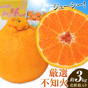 yӂ邳Ɣ[ŁzIsm ϔ 3kg (8-10) R{_s3{-4{oׁta̎R 쒬 k t[c ʕ sm ʂ fR| łۂ I ϔ Mtg 