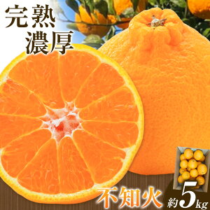 yӂ邳Ɣ[Łzsm 5kg (TCY) R{_s3{-4{oׁta̎R 쒬 k t[c ʕ ʂ fR| łۂ