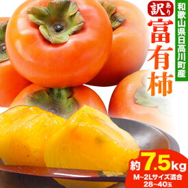 【ふるさと納税】＜先行予約＞【訳あり】富有柿 約7.5kg ( 28〜40玉 M~2Lサイズ混合 ) 山本農園 《2026年10月下旬-12月上旬頃出荷》 和歌山県 日高川町 柿 かき ご家庭用 フルーツ 果物