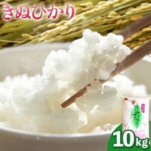 yӂ邳Ɣ[Łzߘa7NxY ʂЂ 10kg V X}C s30ȓɏoח\(yj)ta̎R 쒬   R 10kg ʂЂ LkqJ ߘa6NY ߘa6NxY 