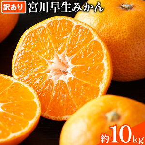 yӂ邳Ɣ[Łz{쑁݂󂠂 Iׂ 5kg 10kg (TCY낢) ܃t@[s2025N11{-2026N1{oׁt a̎R 쒬 { VN ʕ k t[c Y 