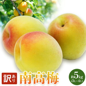 yӂ邳Ɣ[Łzy󂠂z 썂~ 5kg (3L~4L) }s2026N6{-6{oׁt a̎R 쒬 ~ IB썂~  ƒp 󂠂 t[c ʕ
