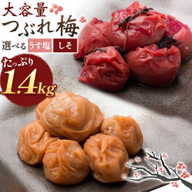 【ふるさと納税】梅干し 紀州南高梅 つぶれ梅 大容量 花 うす塩 しそ 1.4kg 700g ×2パック 《60日以内に出荷予定(土日祝除く)》 株式会社やまだ 和歌山県 日高川町 梅 塩 梅干 うめぼし 米 おかず しそ漬 国産 送料無料