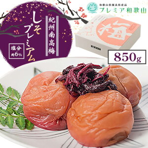 yӂ邳Ɣ[Łz~ IB썂~  v~A  6% 500g ܂ 850g s60ȓɏoח\(yj)t Ђ܂ a̎R 쒬 ~ ~ ~  ~  