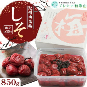 yӂ邳Ɣ[Łz~ IB썂~   15% 500g 850g 1pbN s60ȓɏoח\(yj)t Ђ܂ a̎R 쒬 ~  ~ ~   Y ~ 
