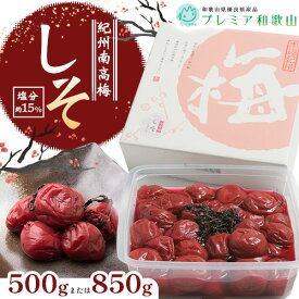 【ふるさと納税】梅干し 紀州南高梅 しそ 塩分 約15% 500g 850g 1パック 《60日以内に出荷予定(土日祝除く)》 株式会社やまだ 和歌山県 日高川町 梅 しそ しそ梅 梅干し 米 おかず 国産 梅干し うめぼし 梅干 送料無料