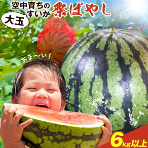 yӂ邳Ɣ[Łzys\zґȊÂƃV 󒆈炿̑ʂ Ղ΂₵ 6kgȏ 1 _ s2026N6{-8{oׁt a̎R 쒬 XCJ Z  