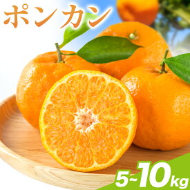 【ふるさと納税】 和歌山県産 ポンカン 選べる 5kg 7.5kg 10kg 中畑農園《2026年1月下旬-2月末頃出荷》 和歌山県 日高川町 みかん ミカン 蜜柑 椪柑 フルーツ 果物 柑橘 送料無料