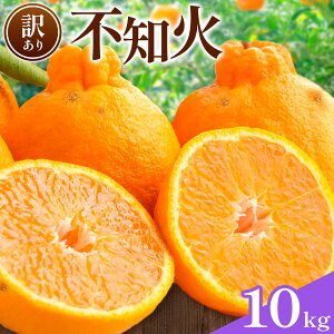 yӂ邳Ɣ[Łz sm 󂠂 Iׂ 5kg 10kg _s1{-2oׁt a̎R 쒬 sm ݂ ~J   t[c ʕ k